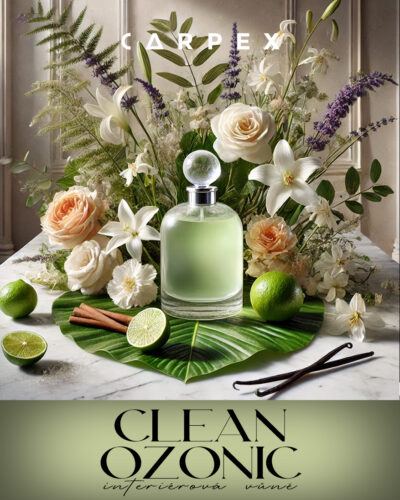 CLEAN OZONIC 125 ml